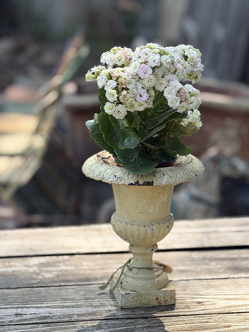Small English Antique Iron Decorative Object - detail 1