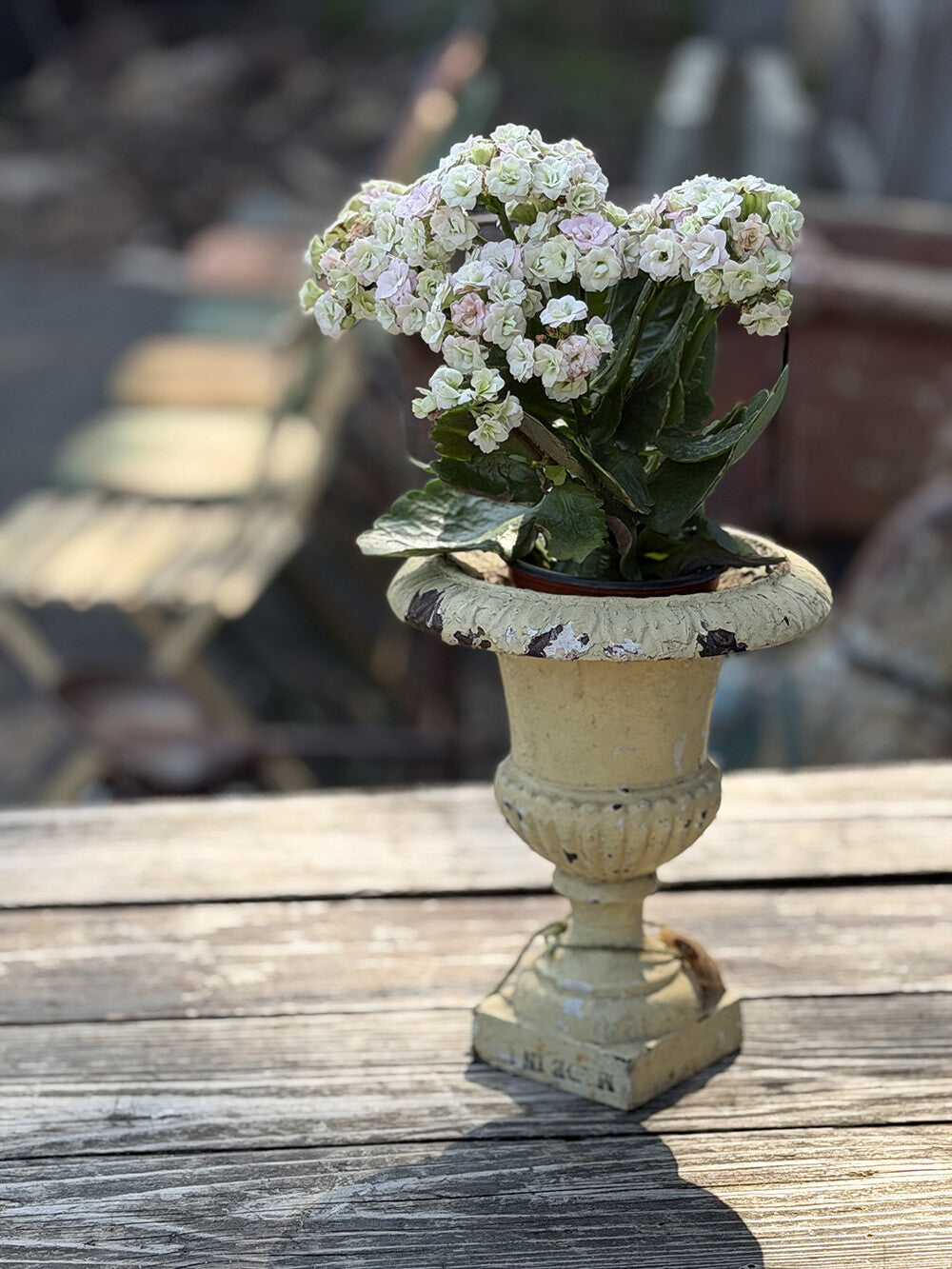 Small English Antique Iron Decorative Object - detail 5
